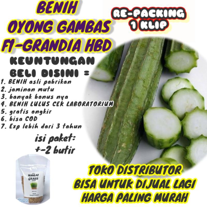 OYONG GAMABAS SUPER