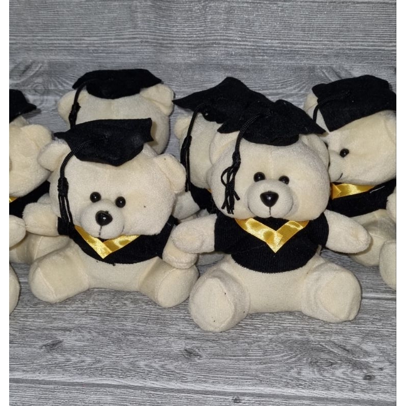 Boneka Wisuda Boneka Graduation Teddy Bear 15cm