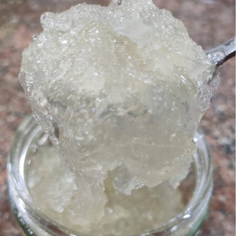 Pure birdnest concentrate 100%