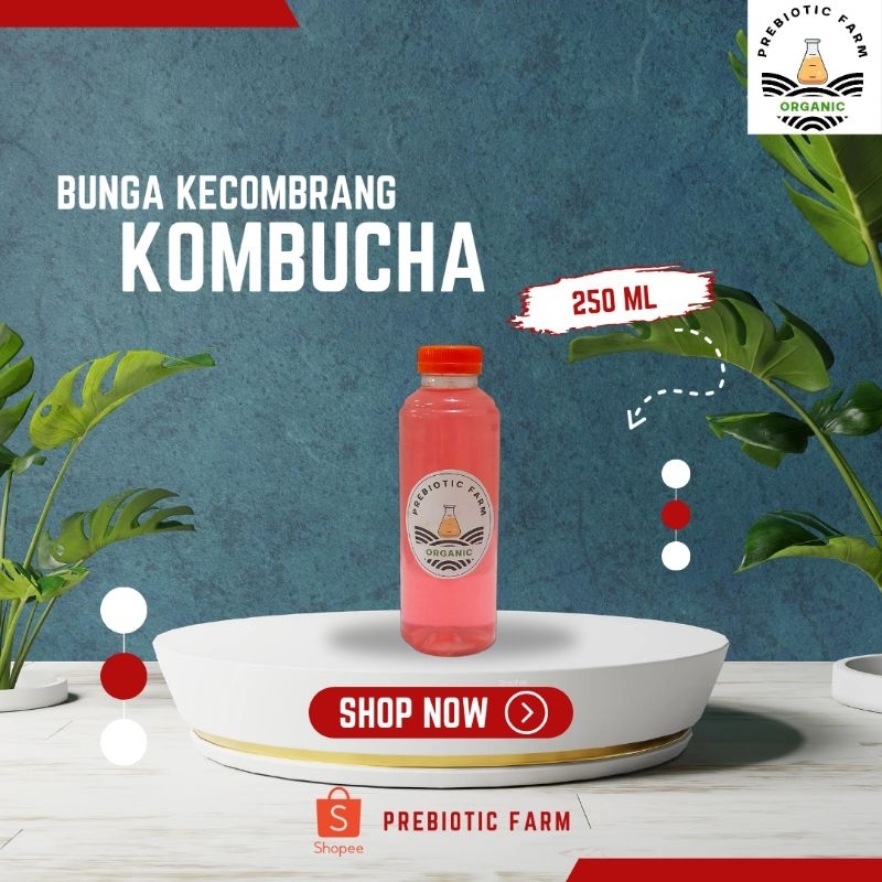 KOMBUCHA DRINK