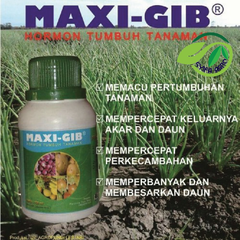 MAXIGIB NUTRISI 100 ML