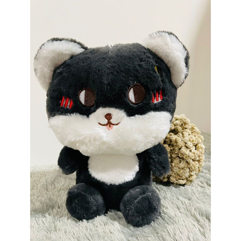 Blackcat