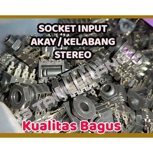 Socket kelabang akay stereo
