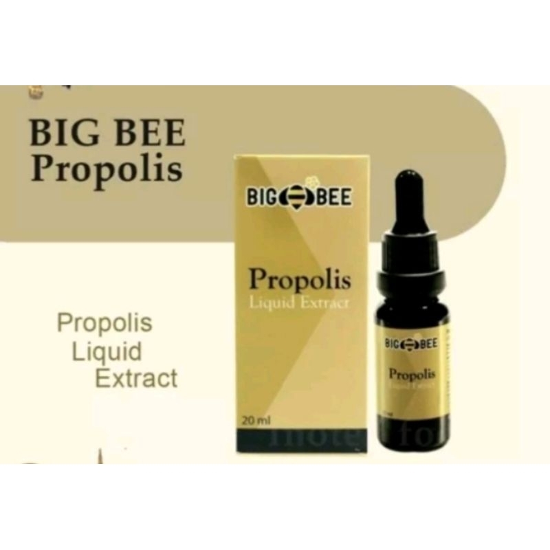 BIG BEE PROPOLIS