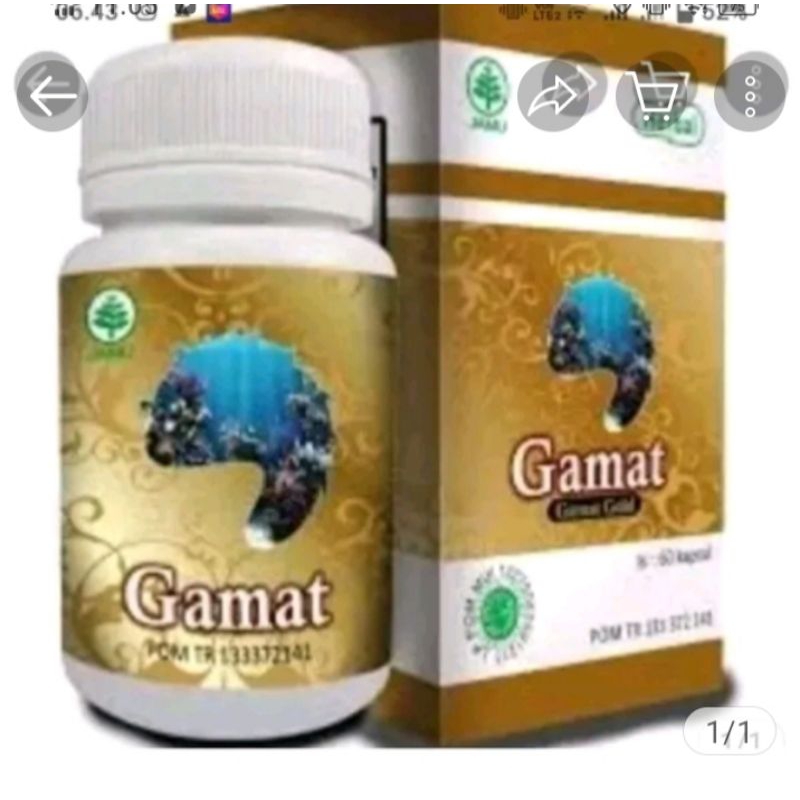 kapsul gamat