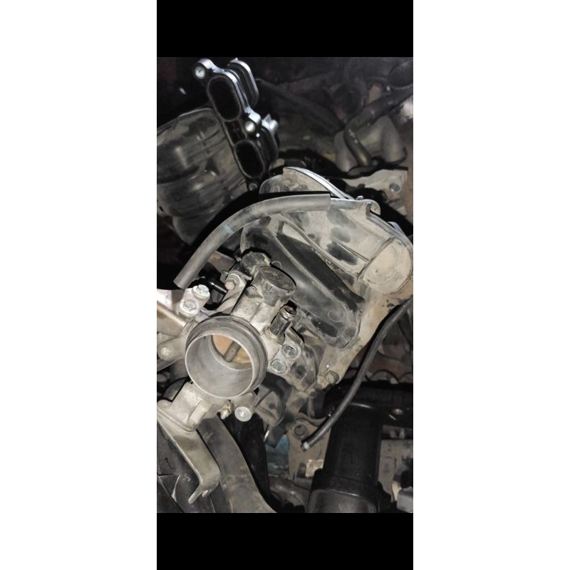 Trotol body avanza