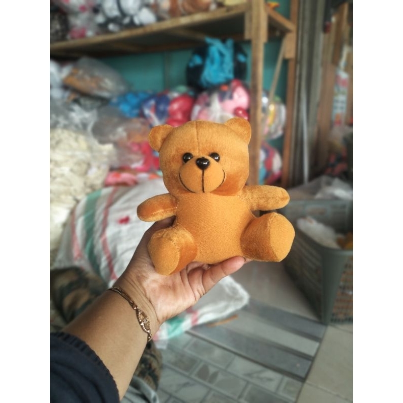 bear wisuda