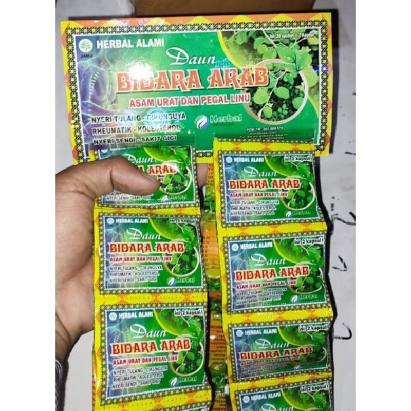 daun bidara arab original