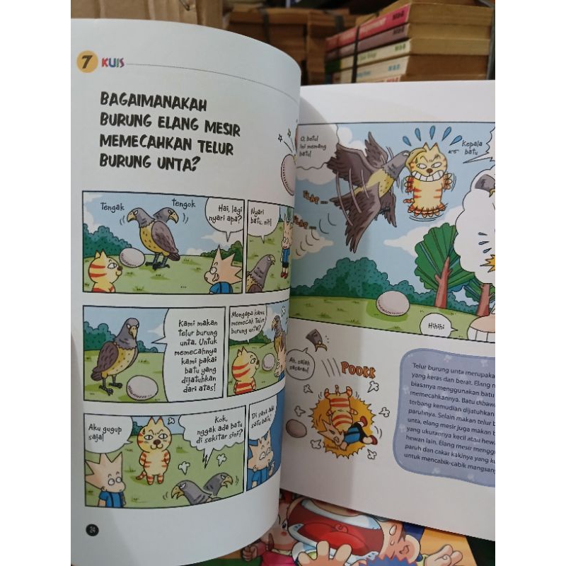 Rahasia Binatang