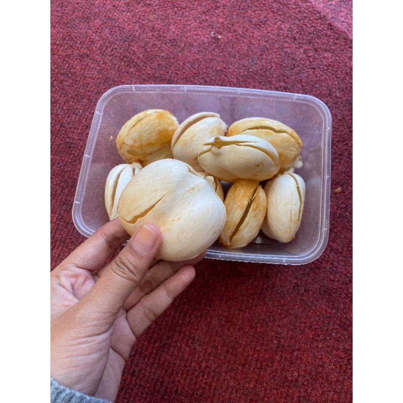 Buah lontar/siwalan