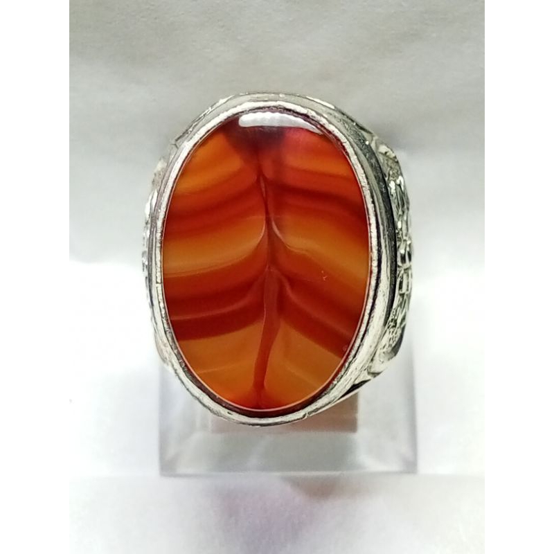 cincin junder sodolanang