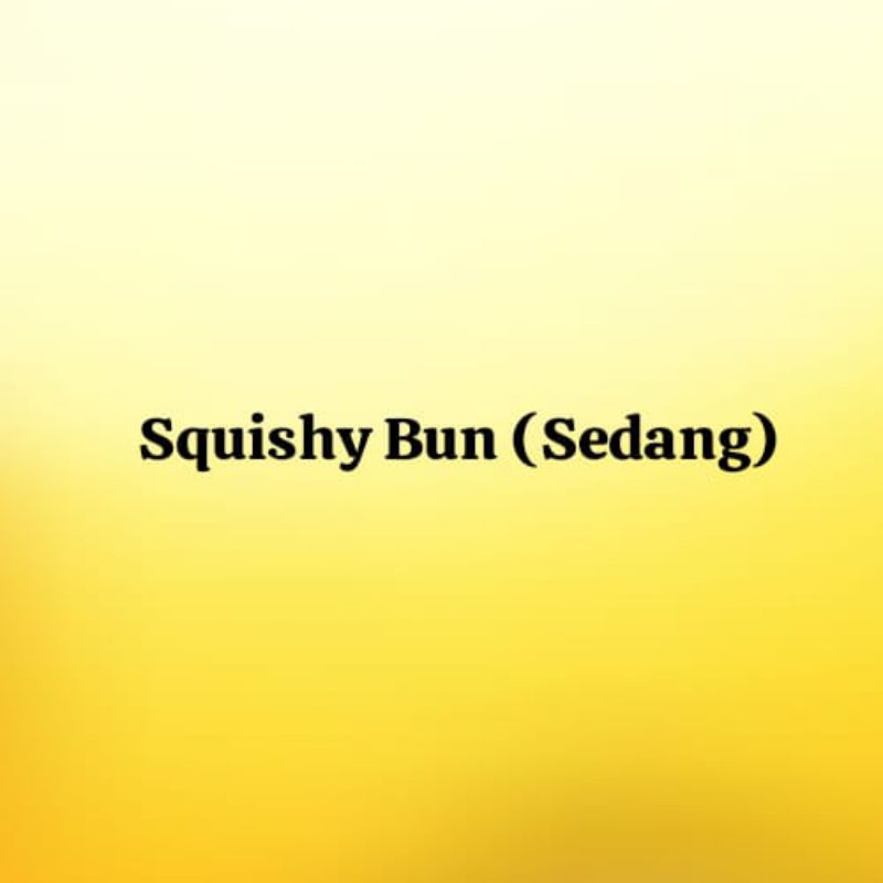 Squishy Bun Ukuran Sedang