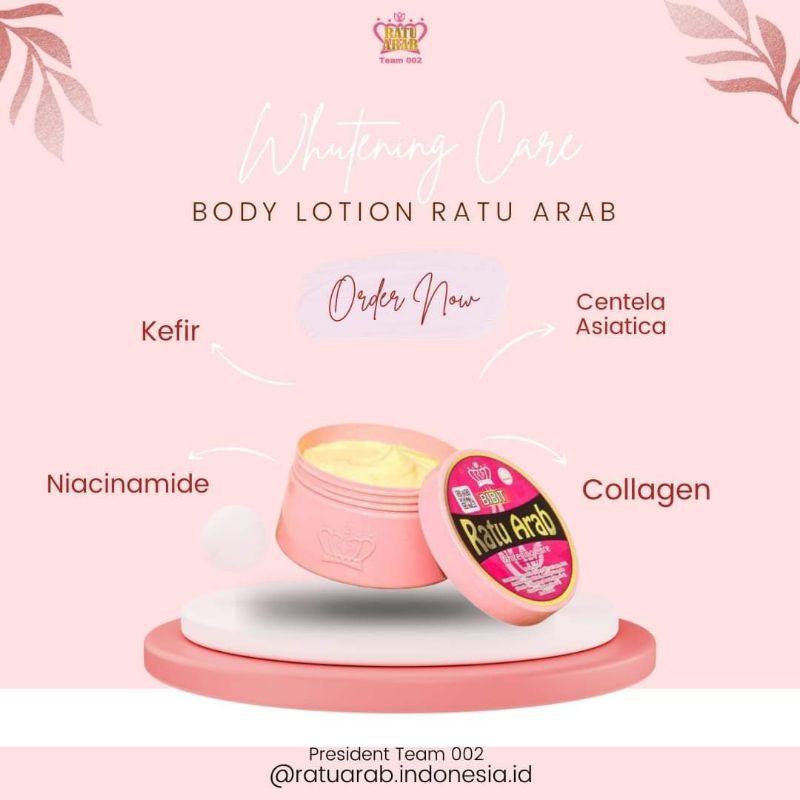 Bibit Lotion Ratu Arab
