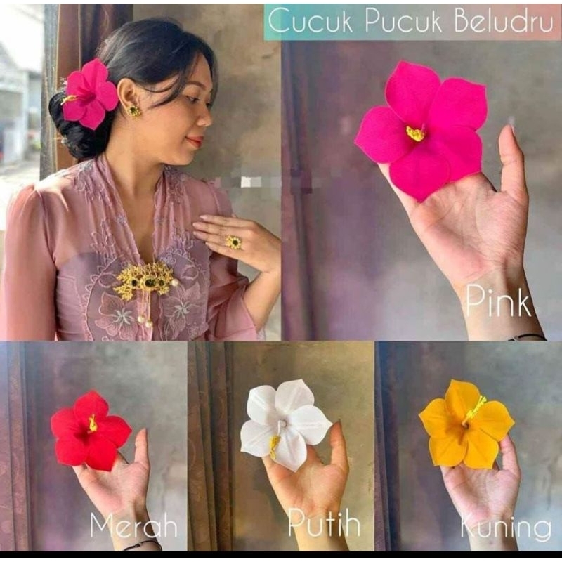Pucuk Rejuna Beludru