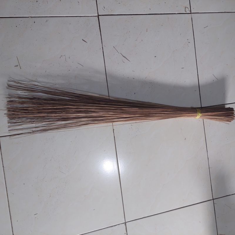 SAPU LIDI HALAMAN