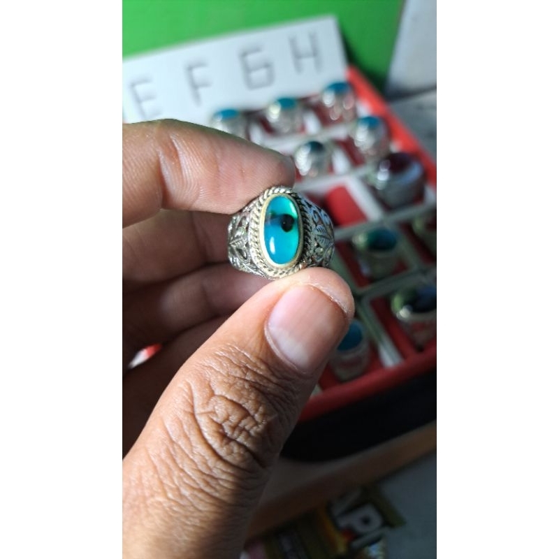 Bacan doko majiko