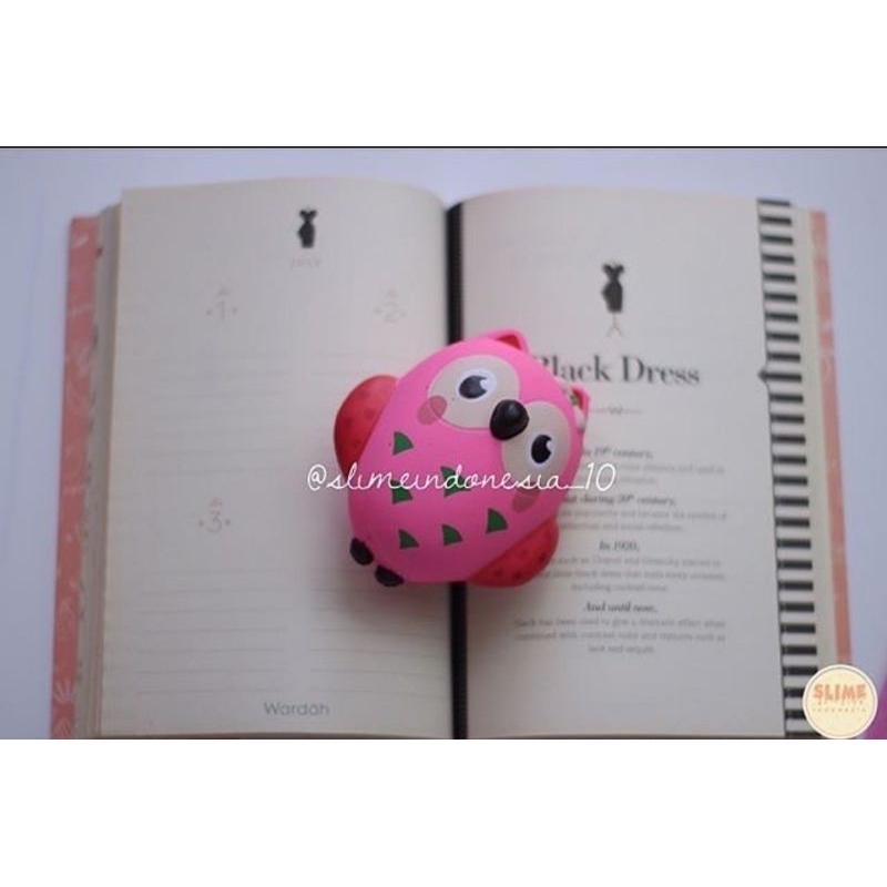 CUTE OWL SQUISHY
