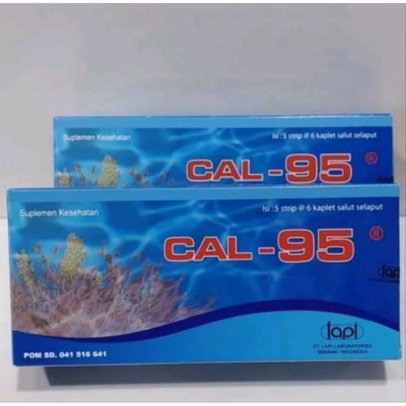 Cal 95 box isi 30 tablet