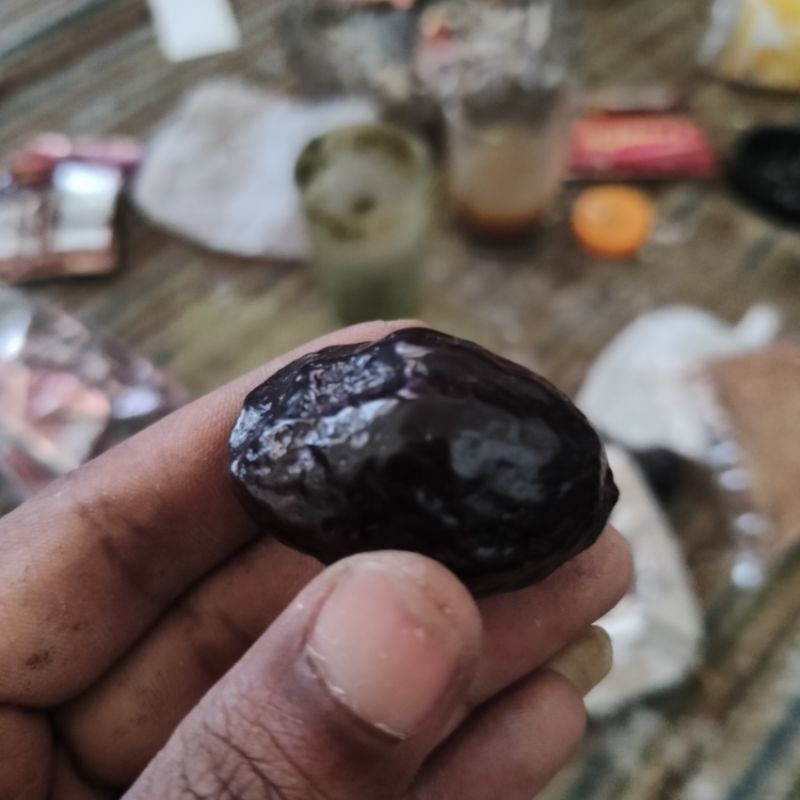 kemiri(muncang adu super)