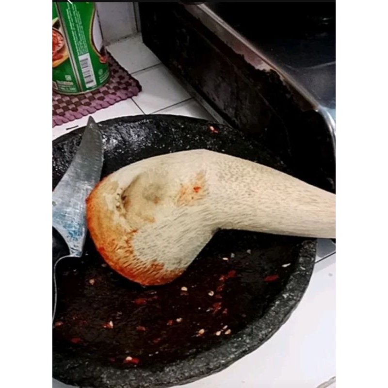 Ulekan dari akar bambu jumbo