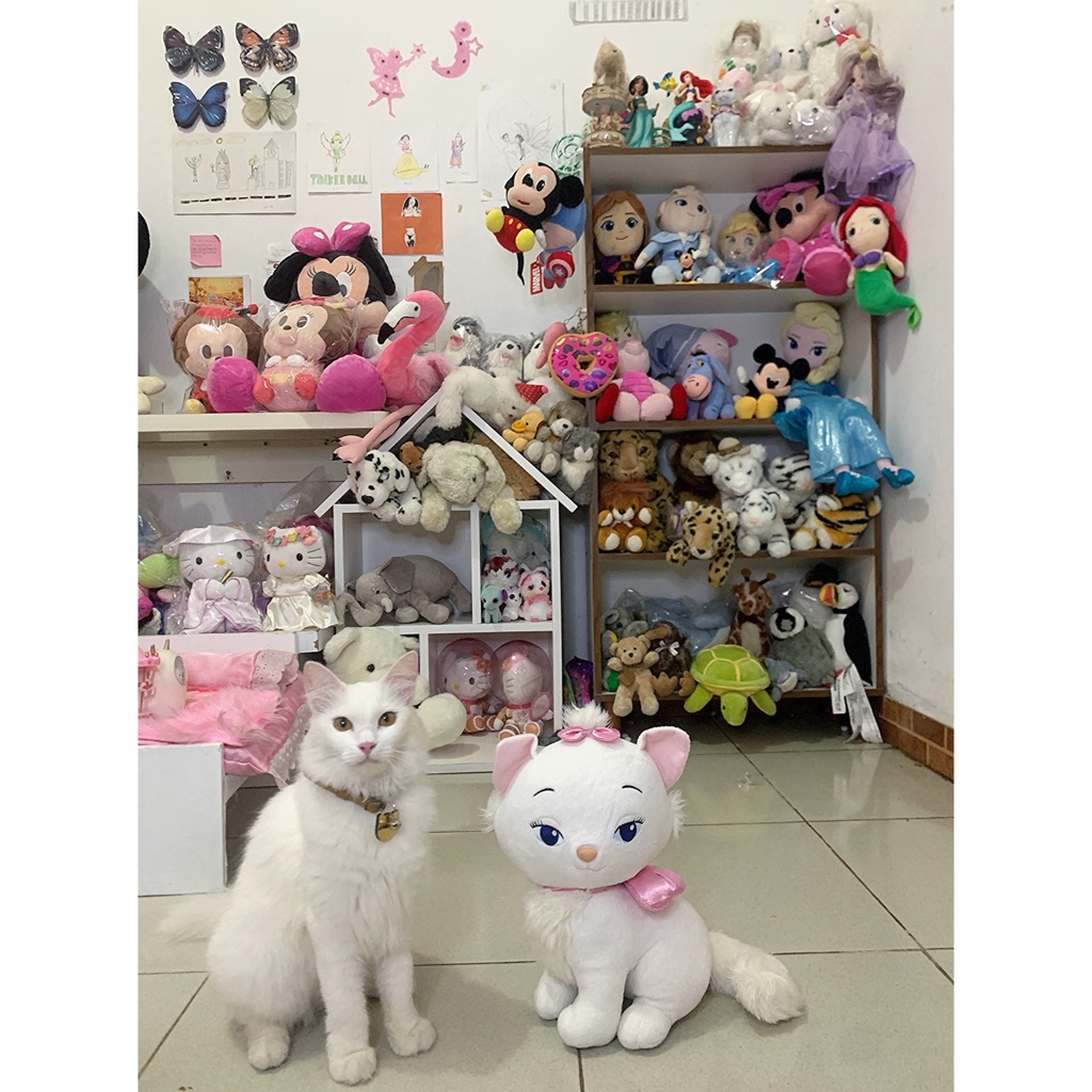 Boneka plove CO KARGO 5KG  + Admin