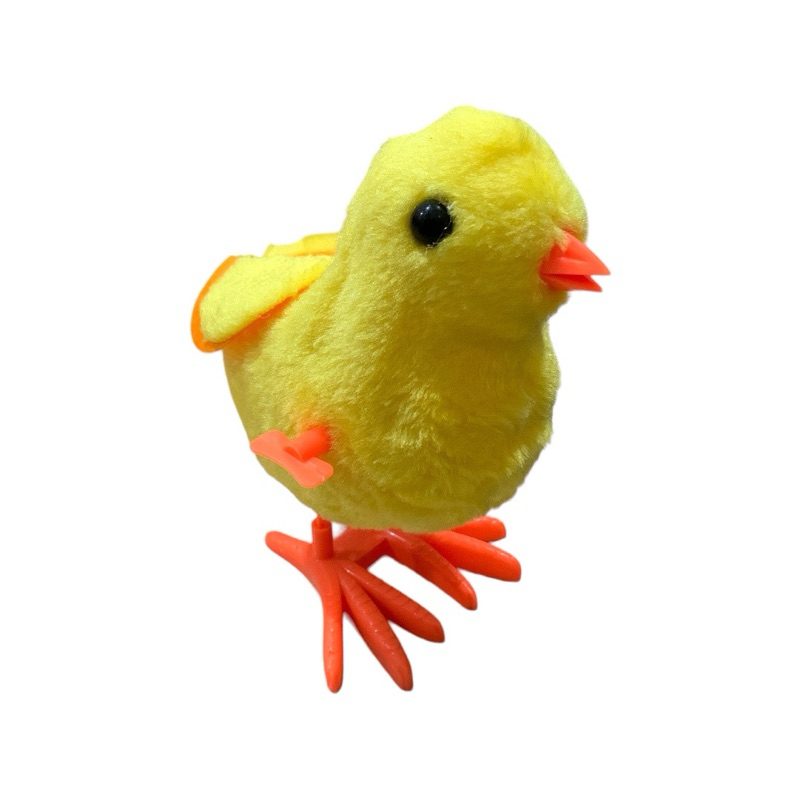 AYAM KUNCI PR-17443