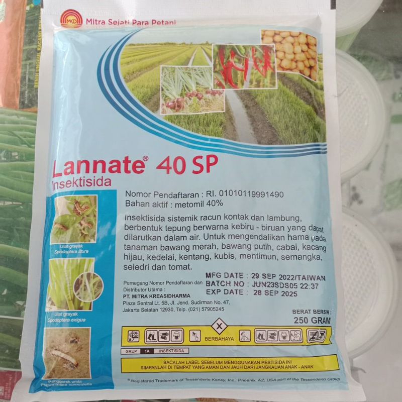 Lanette 40 WP 250g