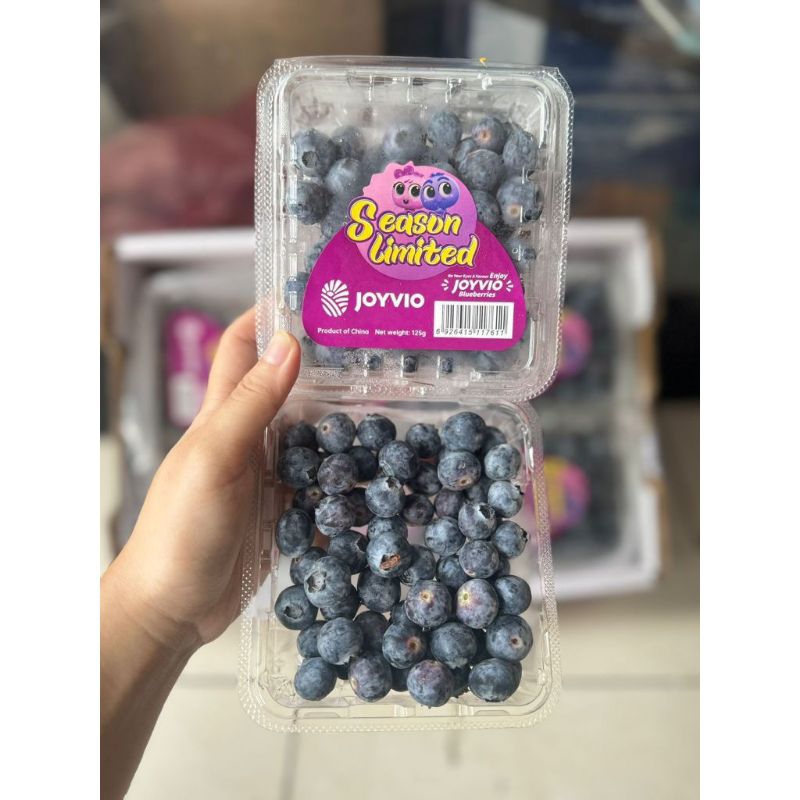 Blueberry / Blueberry Import