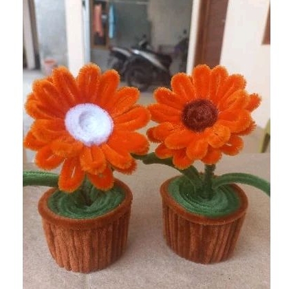 Bunga pot | Bunga matahari