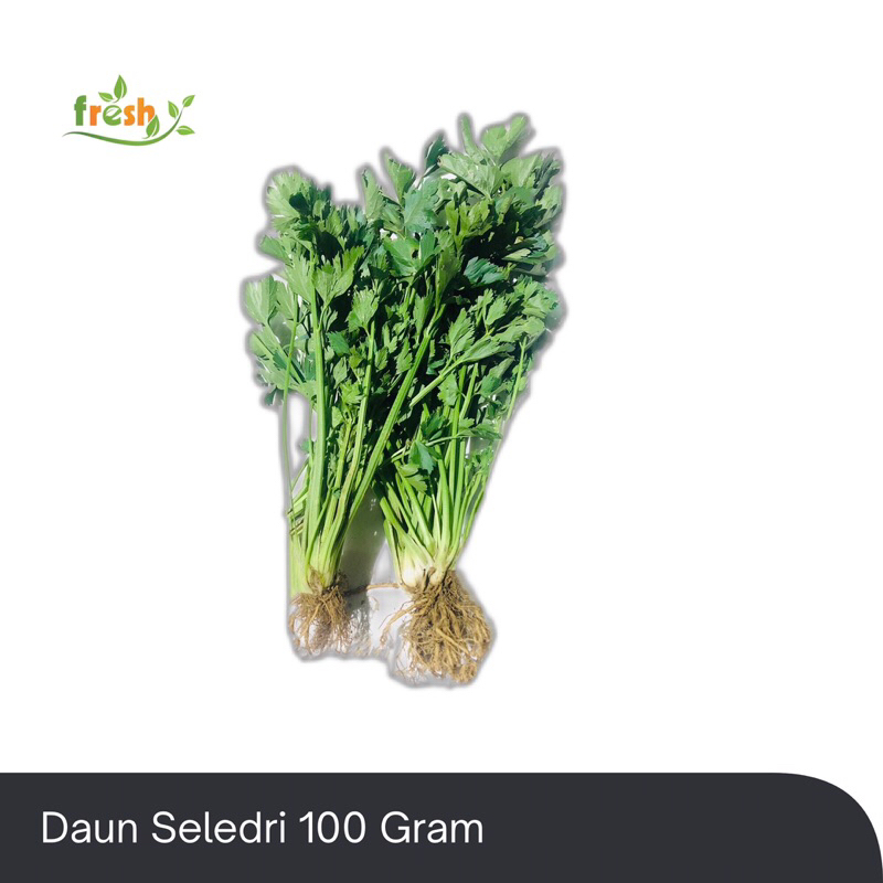 Daun Seledri
