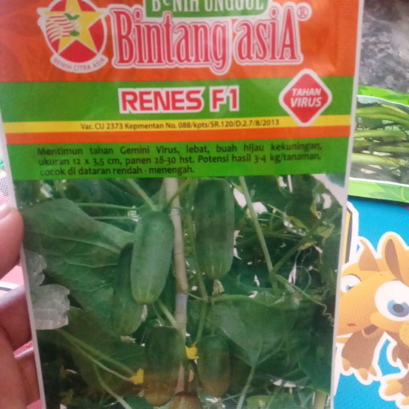 bibit Timun RENES F1
