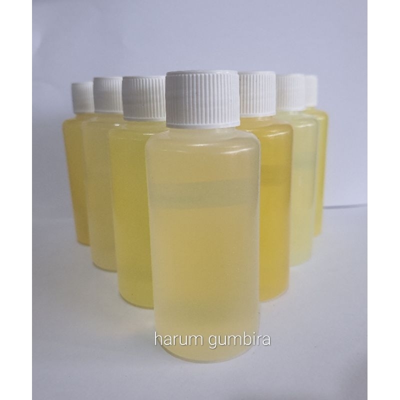 BIBIT PARFUM CHAN3L NO 5 100ml