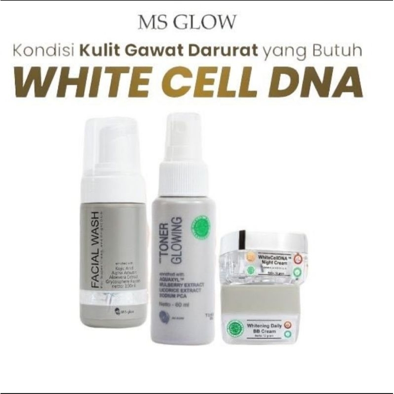 Paket White Cell DNA