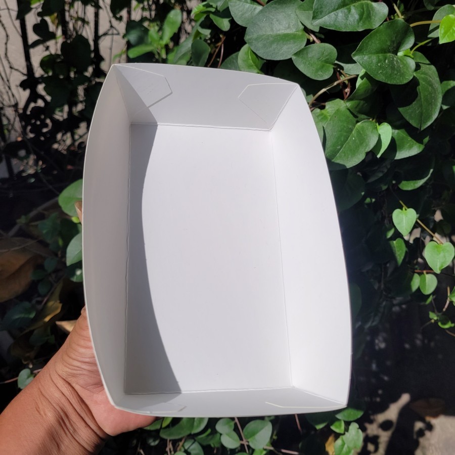 lunch box tray medium