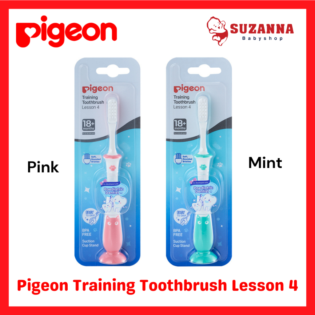Pigeon Training Toothbrush Lesson 4
