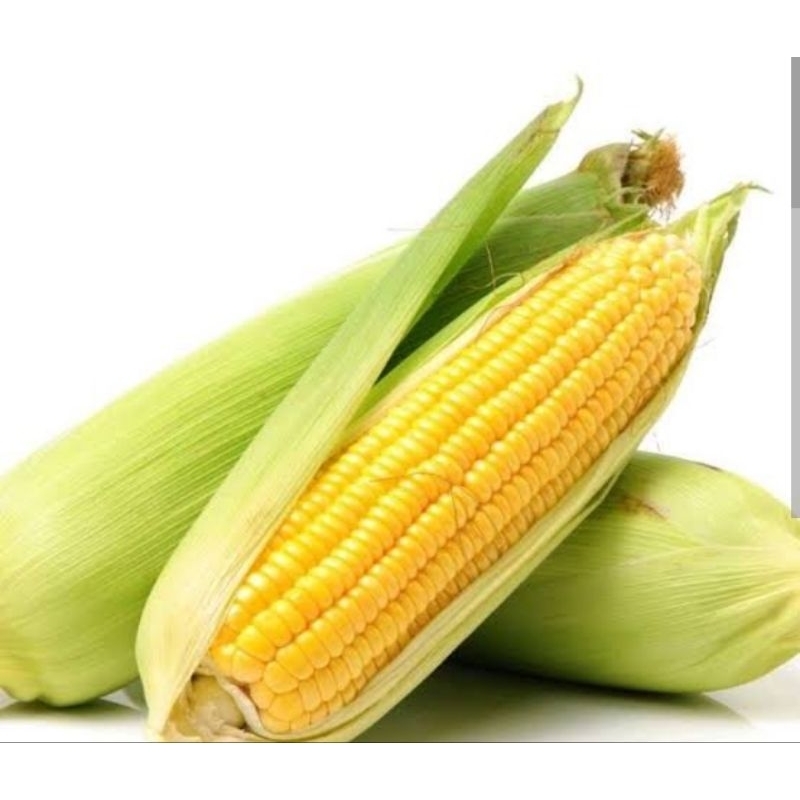 Jagung Manis Kulit