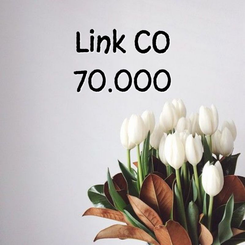LINK CO 70.000 + admin