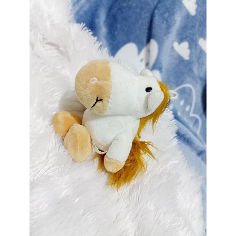 Ganci Pony