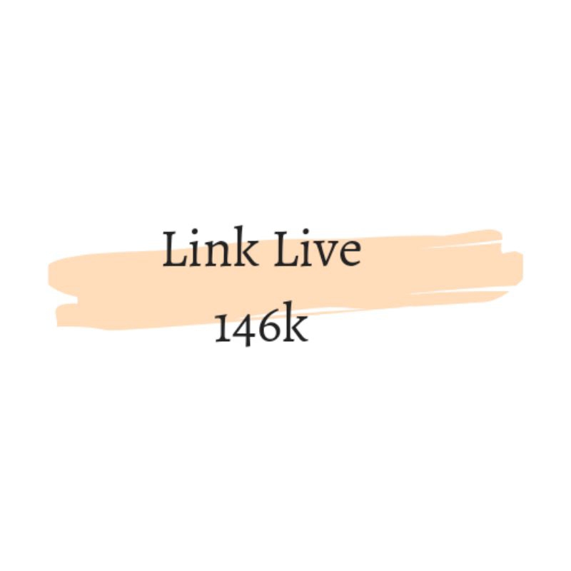 LINK LIVE RP 146.000