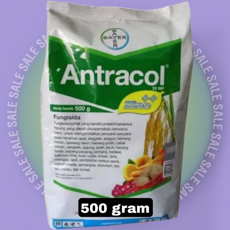 Antracol 500gram