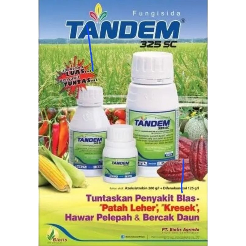 Tandem