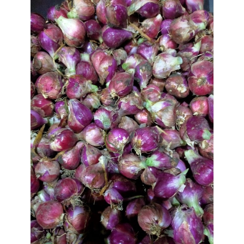 Bawang Merah