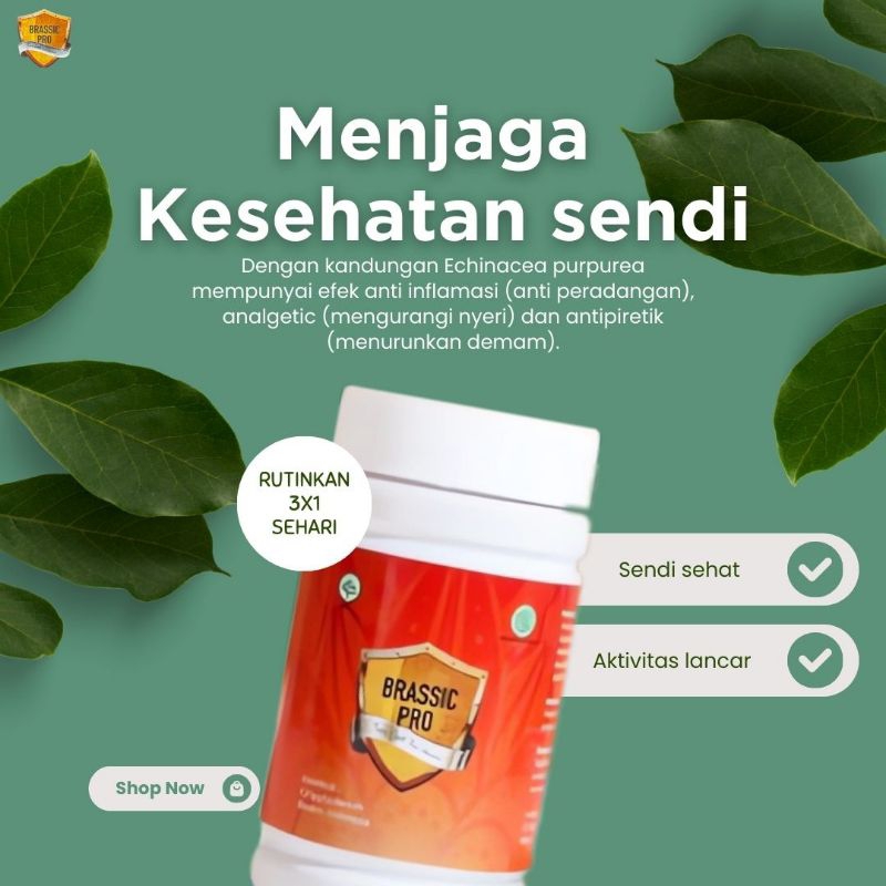 Brassic Pro nutrisi tulang dan sendi