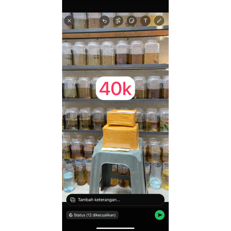 OBAT BIRU IKAN