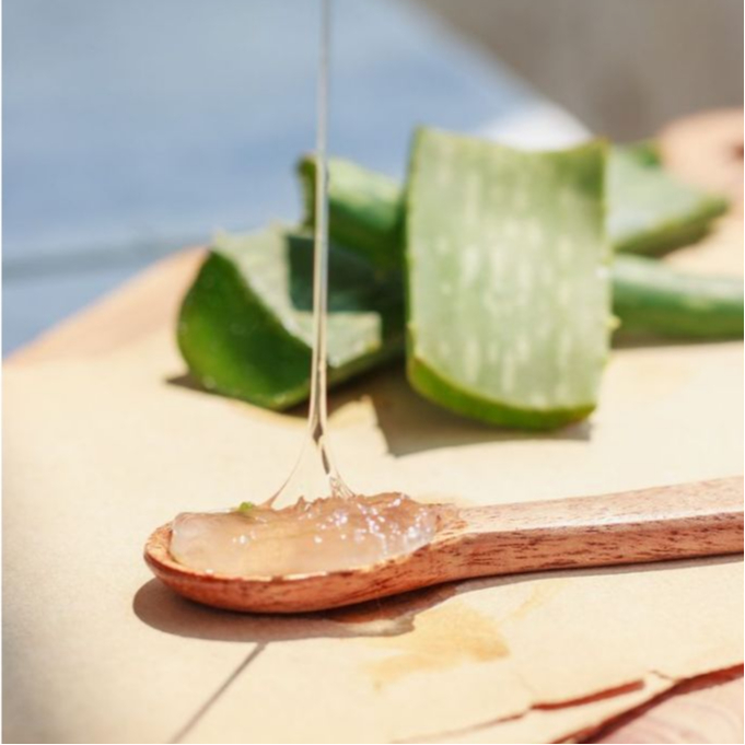ALOE VERA EXTRACT 500gr