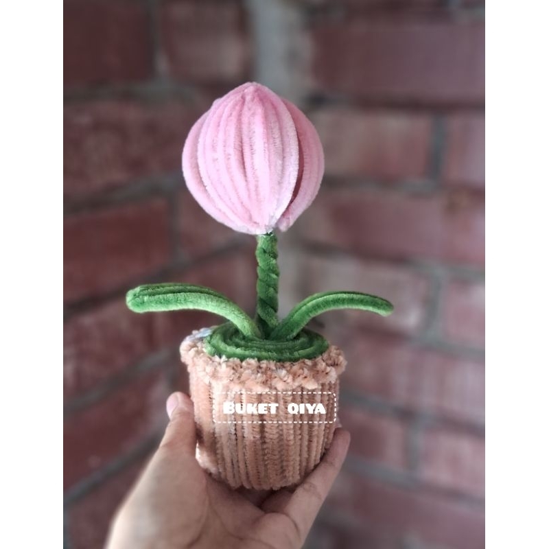 TULIP PINK NUDE