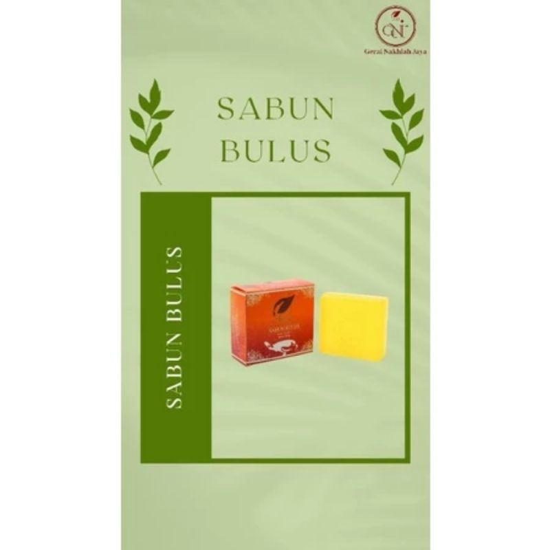 SR12 SABUN BULUS soap