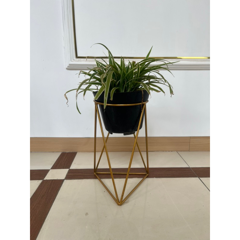 Standing Pot alas segitiga t= 30cm single