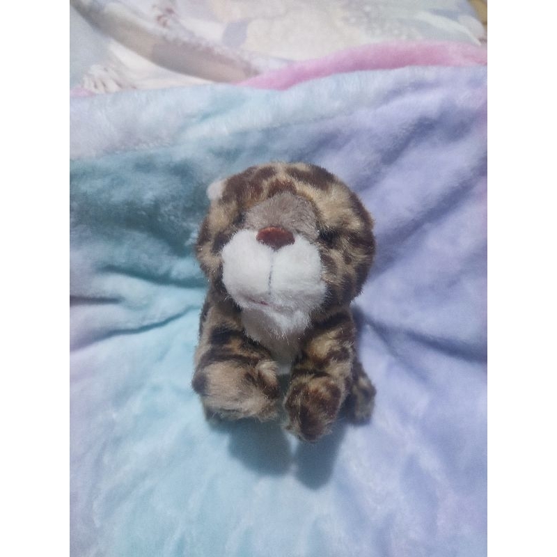 boneka kucing