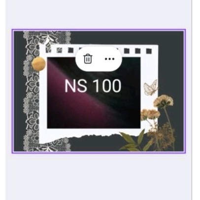 NS 100ml